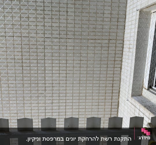 רשת למניעת כניסת יונים על חלון בניין